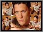 Wentworth Miller, szare oczy